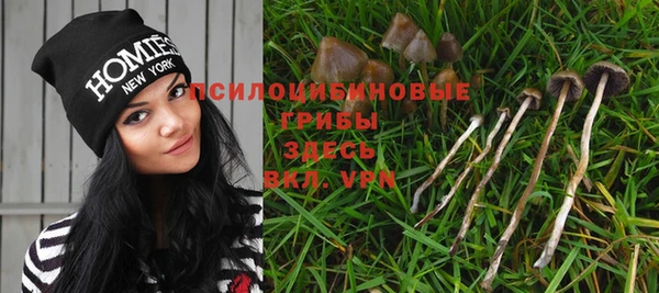 мескалин Алексеевка