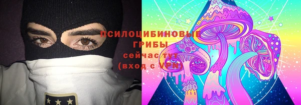 спиды Алзамай